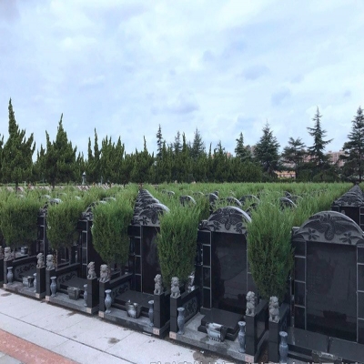 天长公墓传统墓